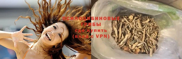индика Беломорск