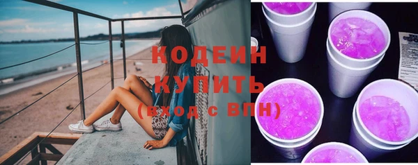 индика Беломорск
