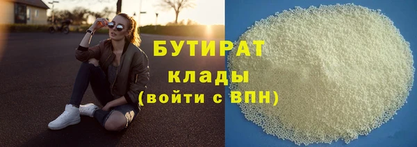 индика Беломорск