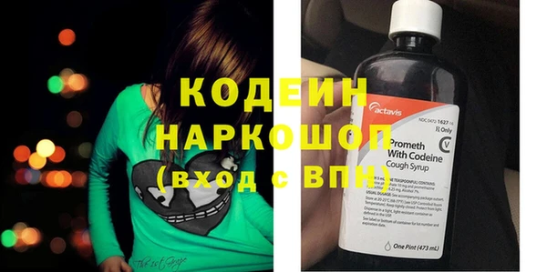 индика Беломорск