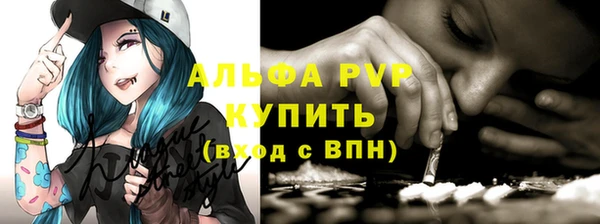 индика Беломорск