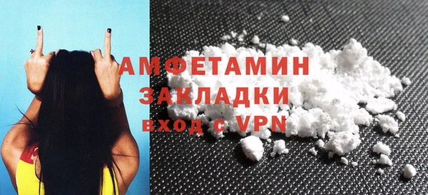 индика Беломорск