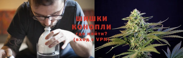 индика Беломорск