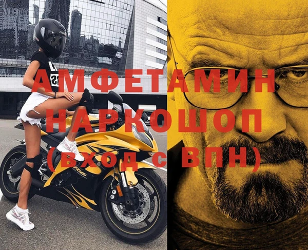 индика Беломорск