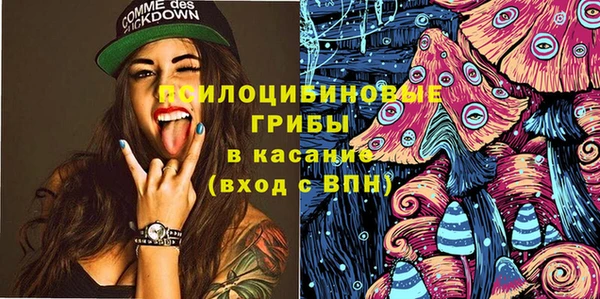 индика Беломорск