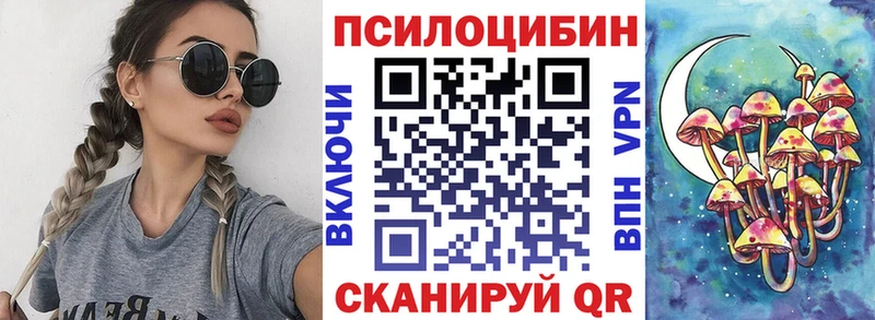 MEGA ONION  цены   Арзамас  Псилоцибиновые грибы Psilocybe 